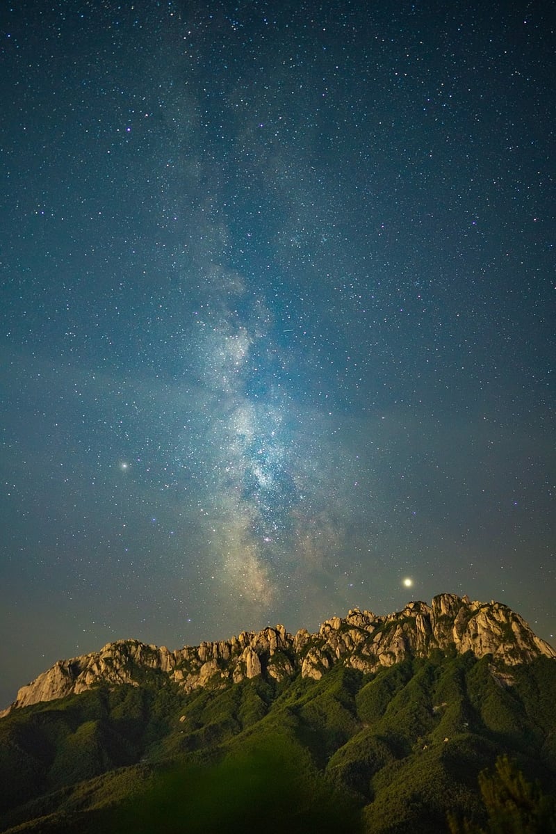 Stars in the Night Sky